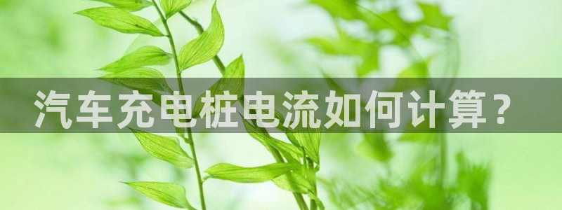 威廉与澳门的关系：汽车充电桩电流如何计算