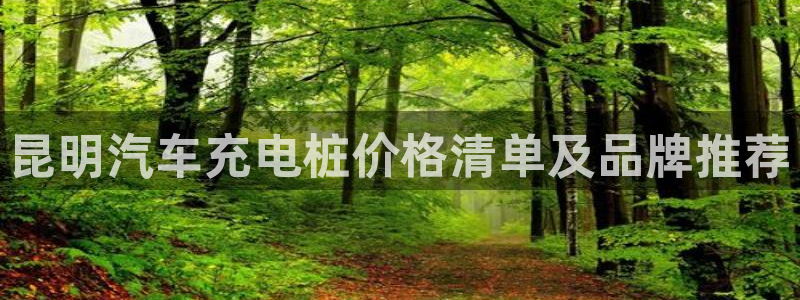 威廉娱乐2023官方版-4.19 Inu