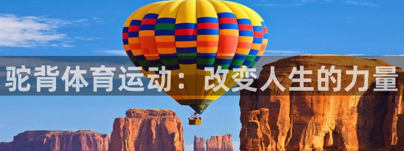 bbin视讯下