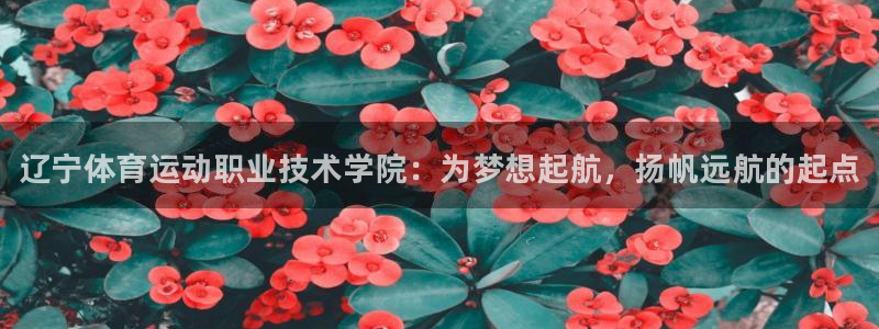 bbin视讯