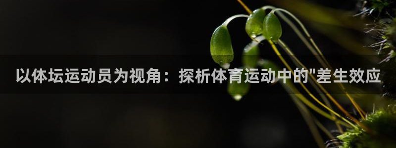 bbin视讯游戏官网