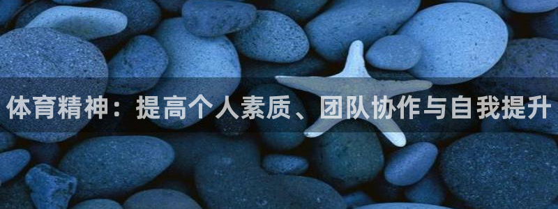 bbin视讯游戏平台