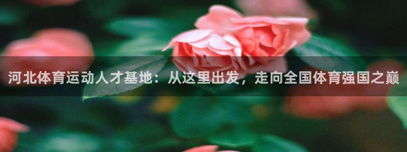 bbin视讯下