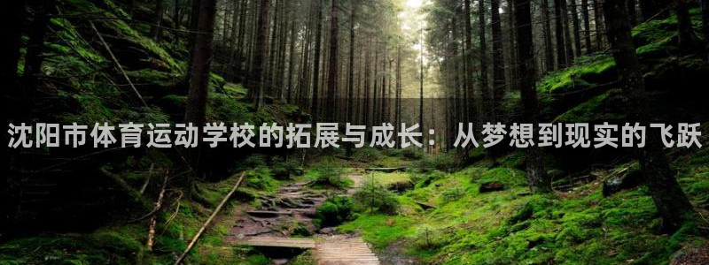 bbin视讯游戏官网