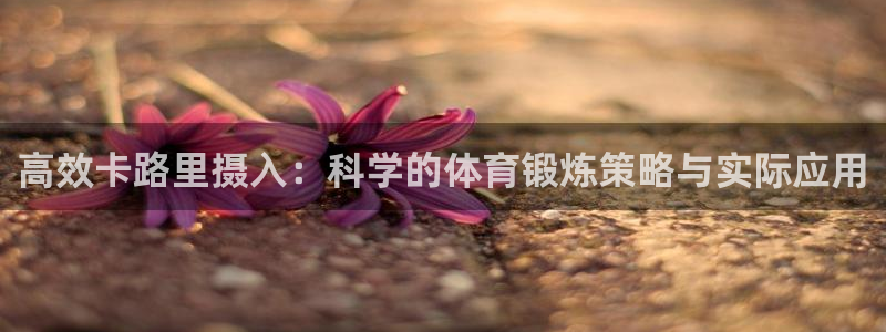 bbin视讯游戏官网