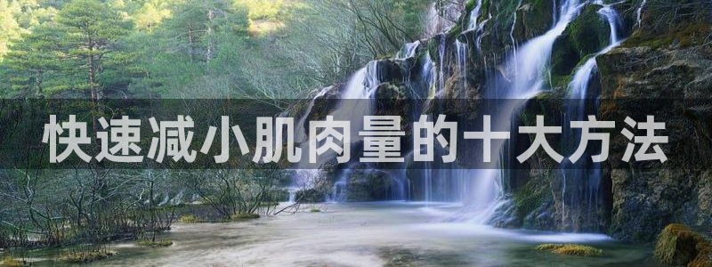 bbin视讯下