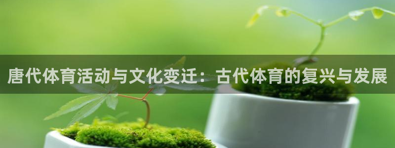 bbin视讯