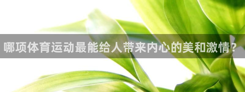 bbin视讯游戏官网