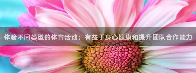 bbin视讯