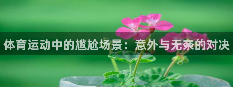 bbin视讯游戏官网