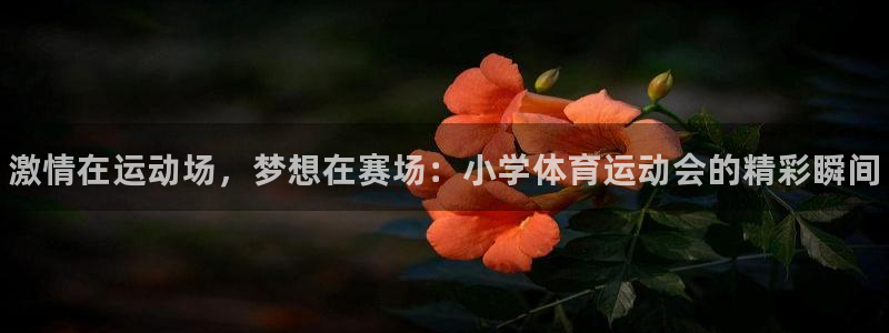 bbin视讯游戏官网