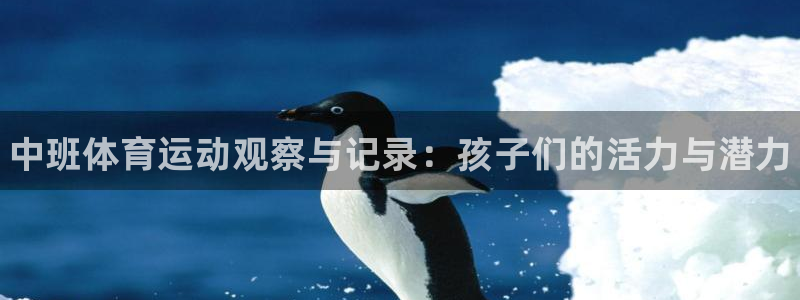 bbin视讯下