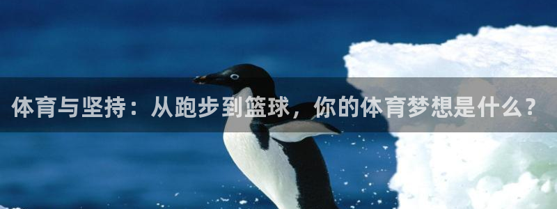 bbin视讯下