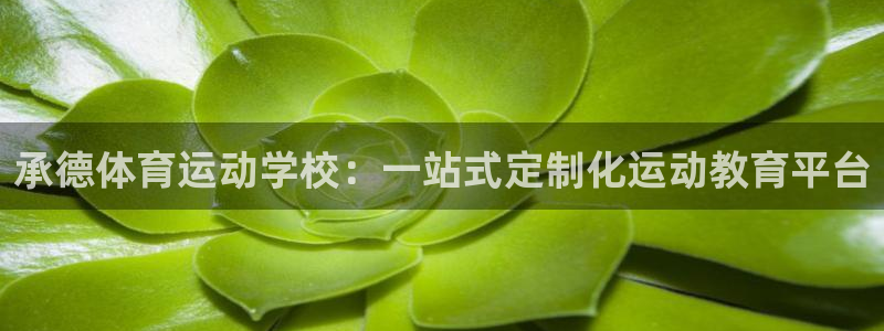bbin视讯游戏平台