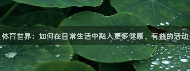 bbin视讯