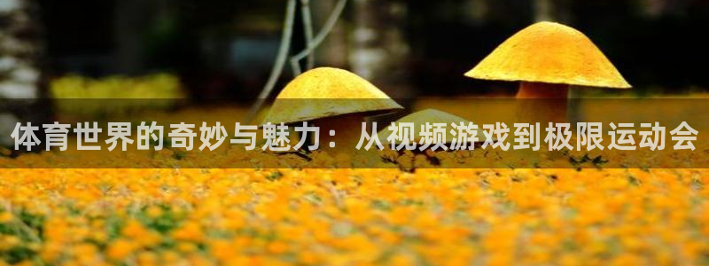 bbin视讯