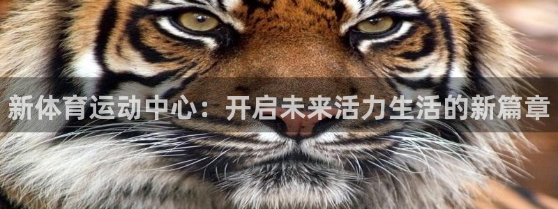 bbin视讯下