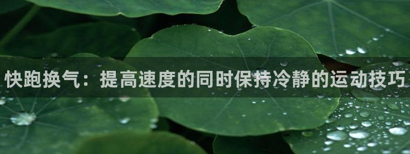 bbin视讯游戏官网