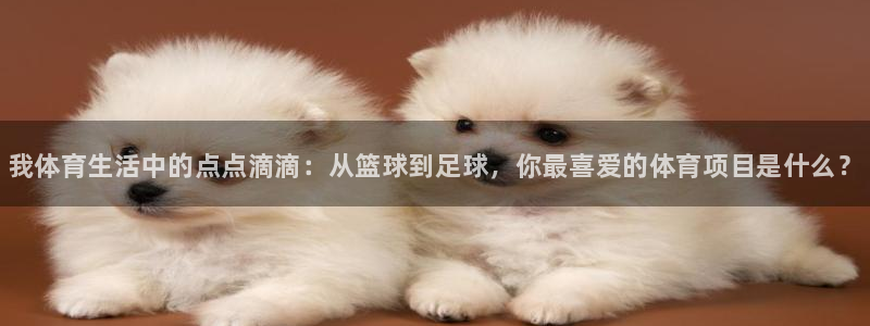 bbin视讯游戏平台