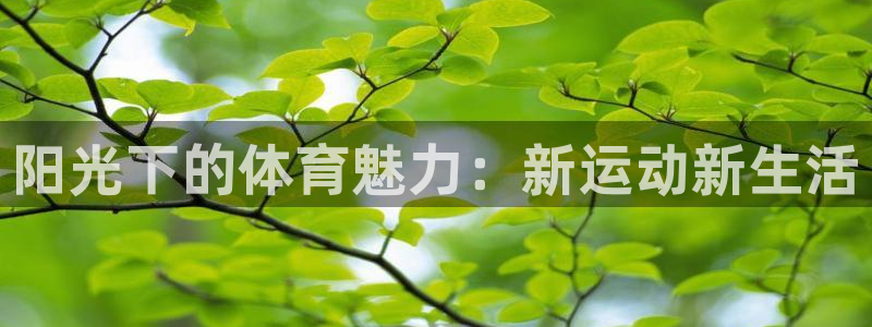 bbin视讯游戏平台