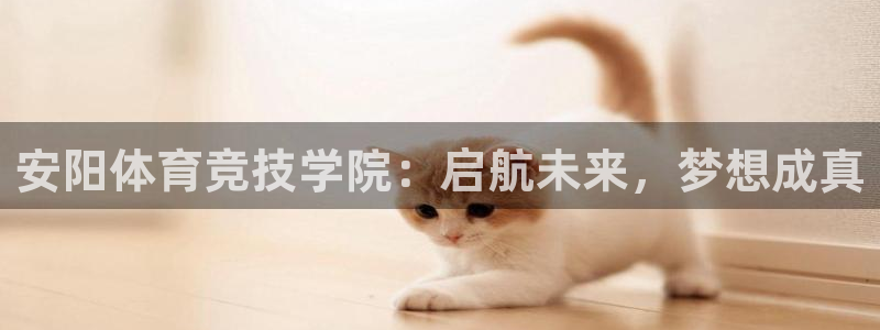 bbin视讯游戏平台
