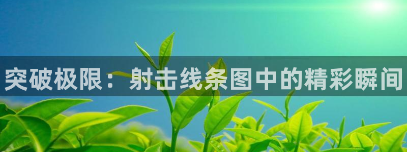 bbin视讯