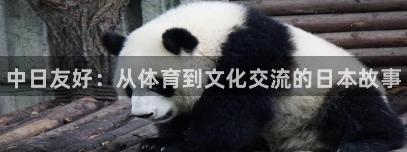 bbin视讯游戏官网