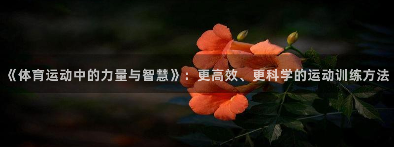 bbin视讯游戏官网