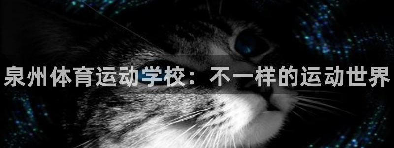 bbin视讯游戏官网