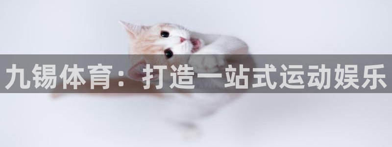 bbin视讯游戏平台