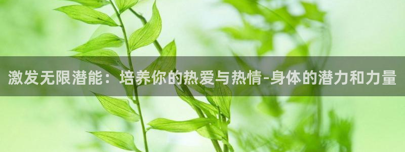 bbin视讯